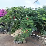 Villa Casa Palmeral *