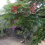 Casa Palmeral Mácher