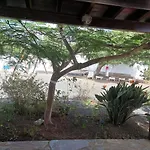 Casa Palmeral Mácher