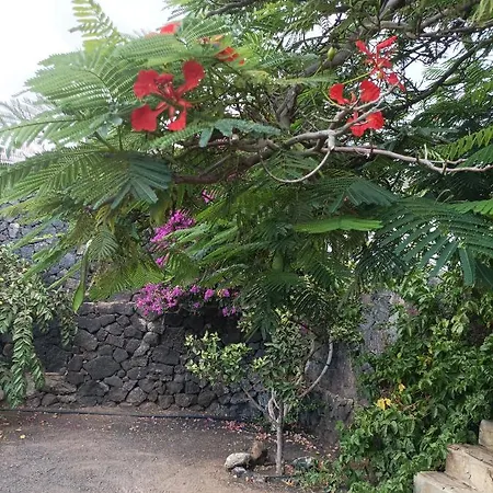 Casa Palmeral Macher