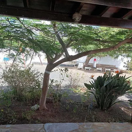Casa Palmeral Macher
